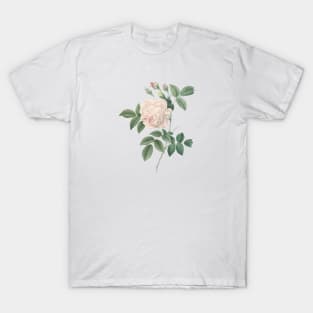 White Rose Flower Vintage Botanical Illustration T-Shirt